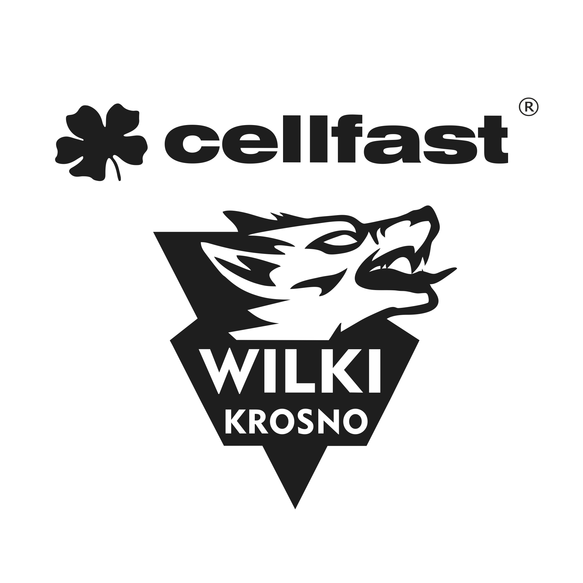 Logo Wilki Krosno